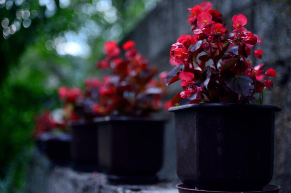 Guest House คอนยิค ภายนอก รูปภาพ
