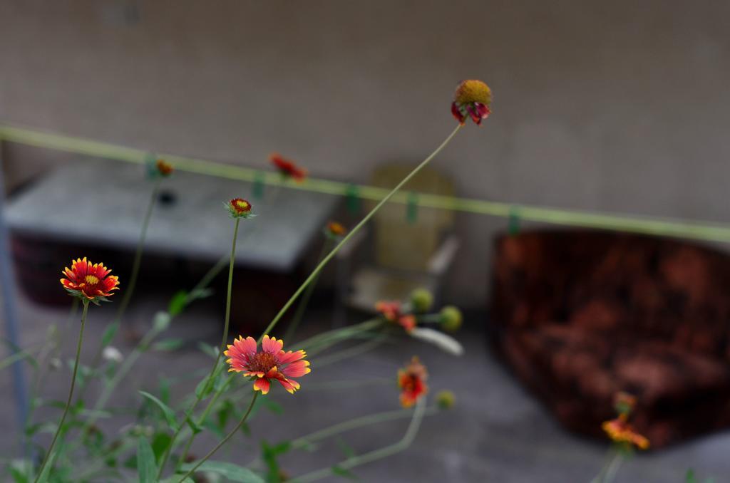 Guest House คอนยิค ภายนอก รูปภาพ